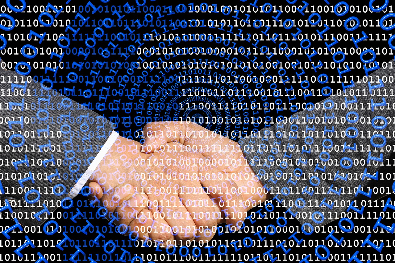 重塑网络世界,最新采集网的数据获取与价值挖掘之道