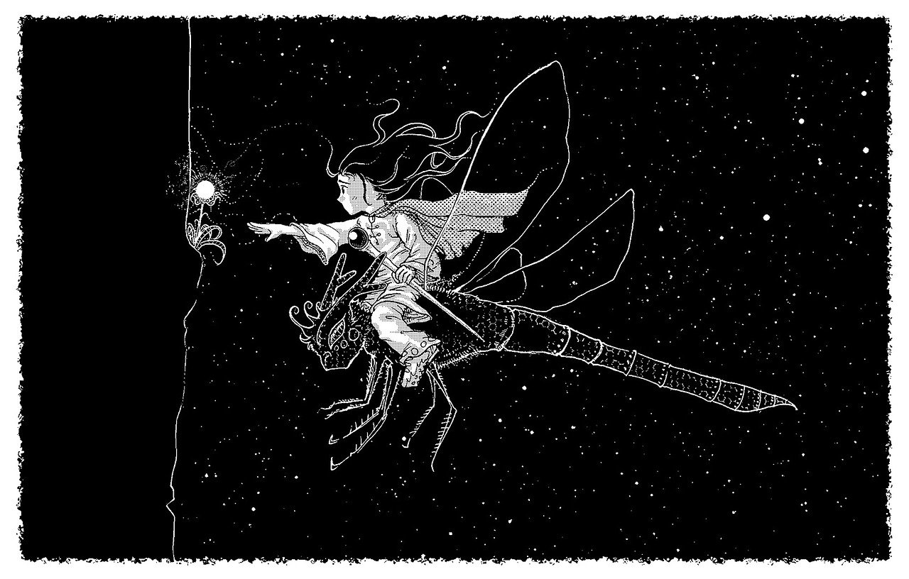 黑色五叶草动漫,热血魔法冒险的完美融合