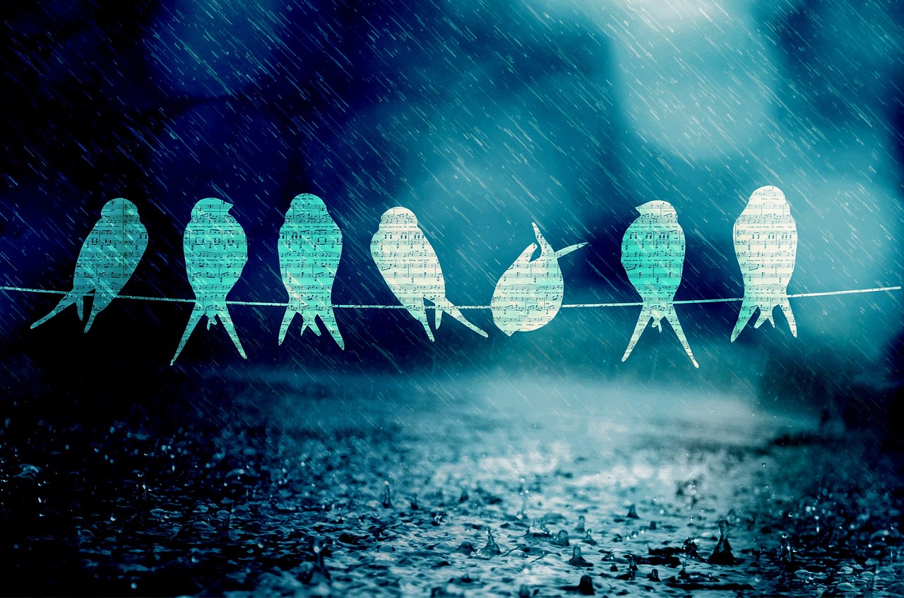 品冠新歌发布,开启音乐之旅新篇章