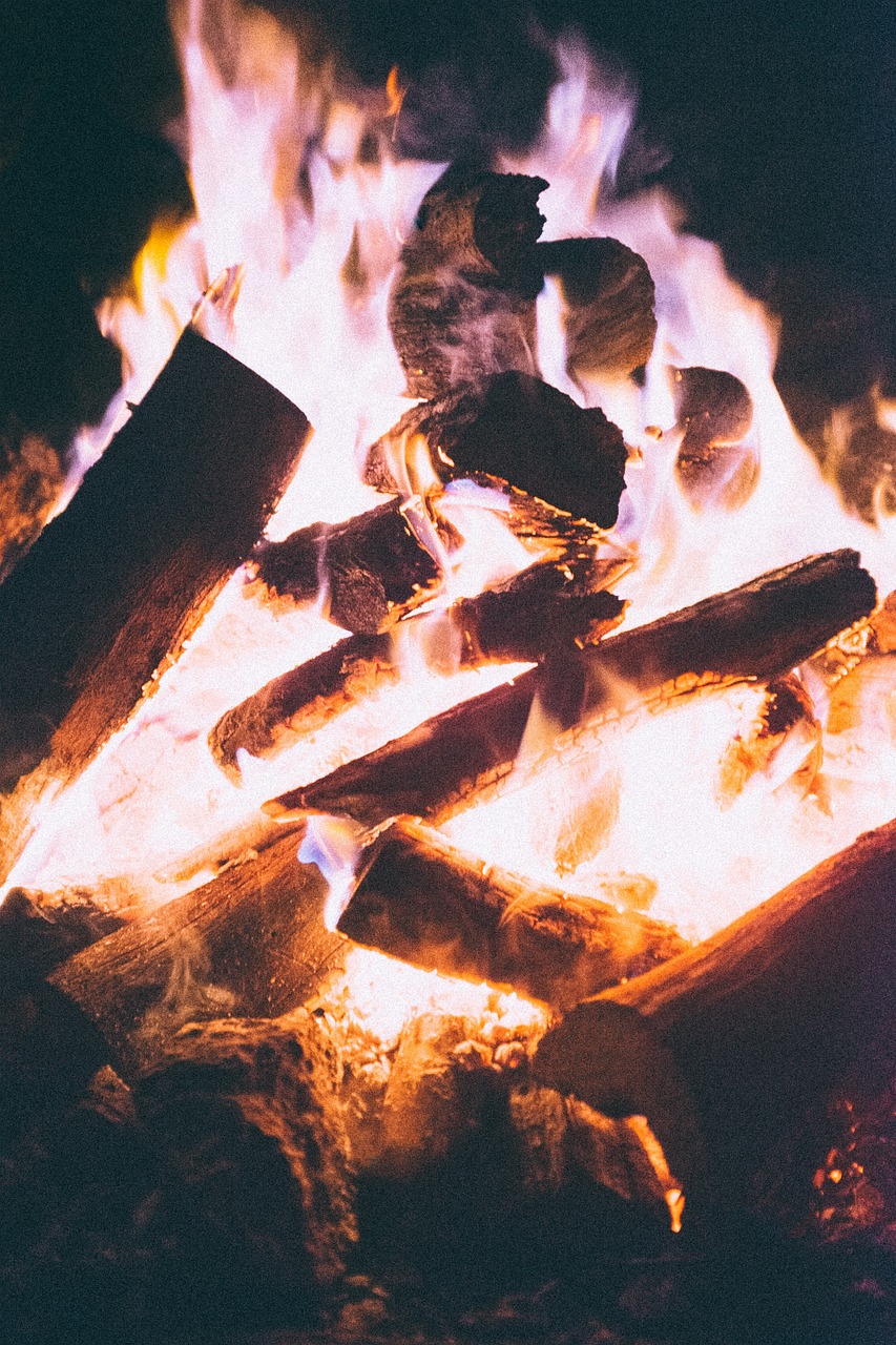 加勒比海盗ADY,冒险与激情的银幕之旅