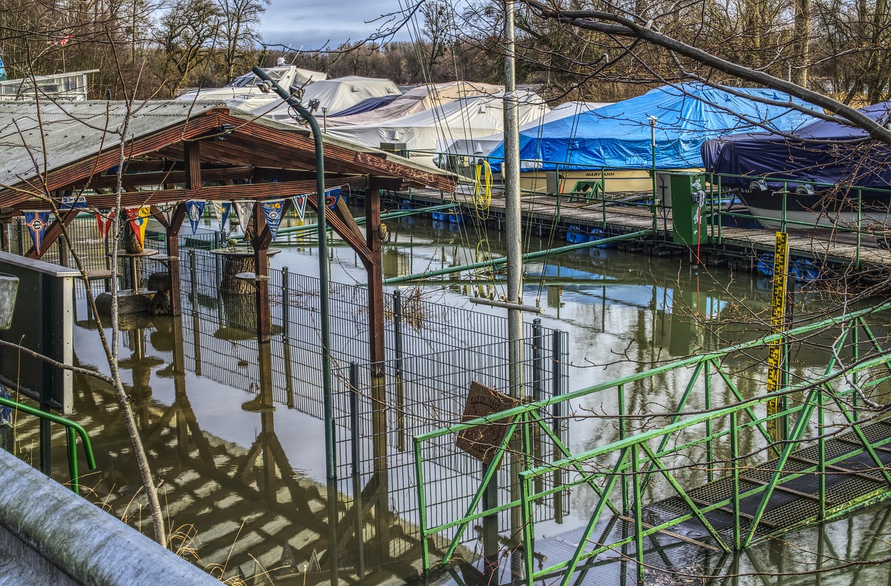 ADY电影最新动态概览,资讯与动态一网打尽