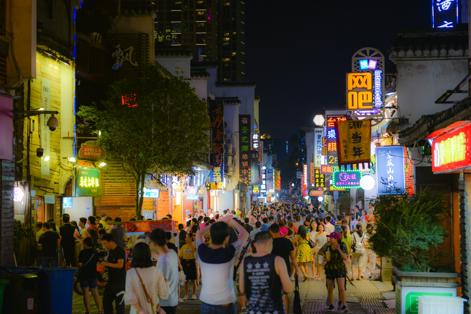 长沙南托街道最新资讯概览,动态与资讯全掌握