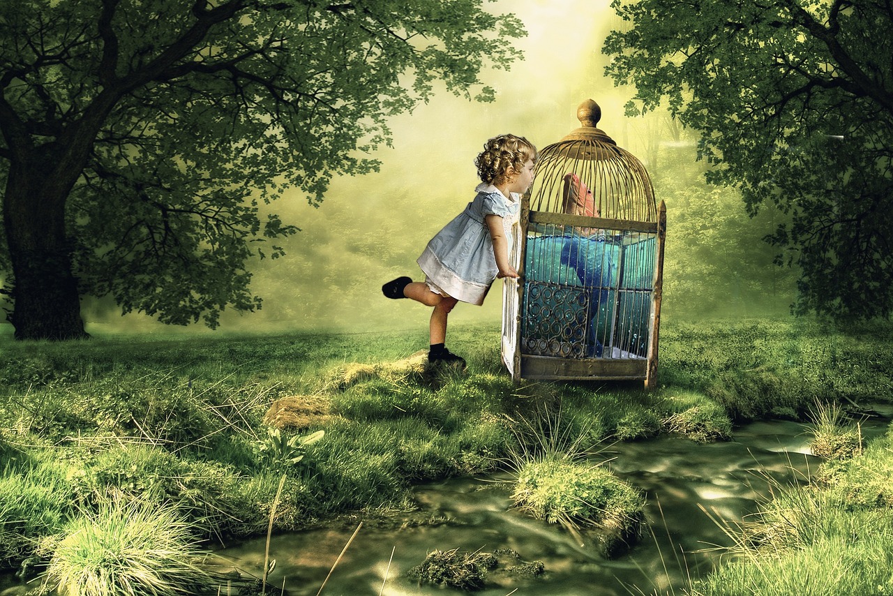 夏天动漫壁纸的魅力及选择指南