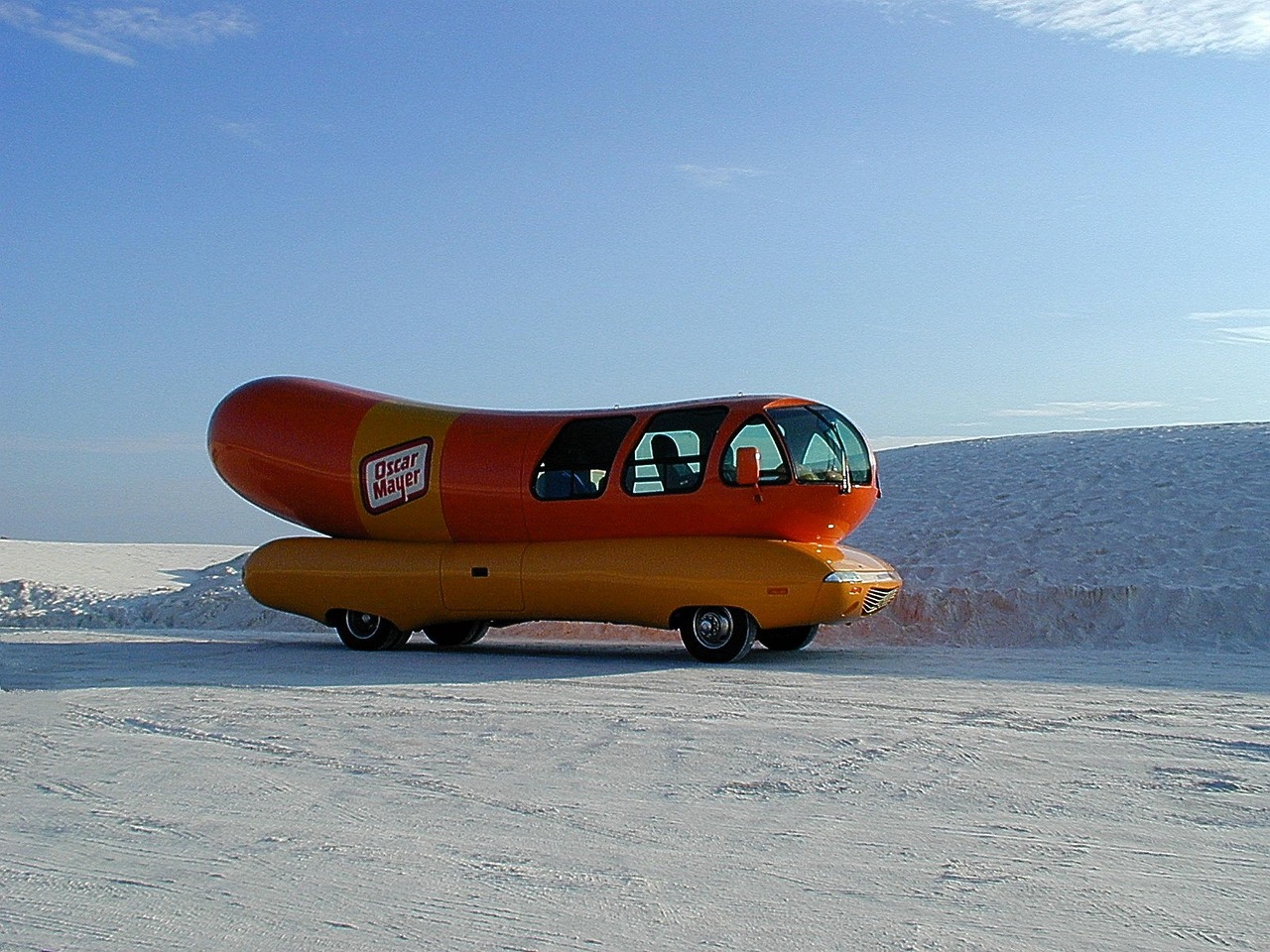 白岛最新动态,探索未来之城的发展与进步