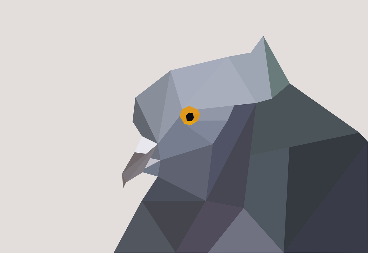 天鸽最新动态引领科技创新,智能物流发展助力前行