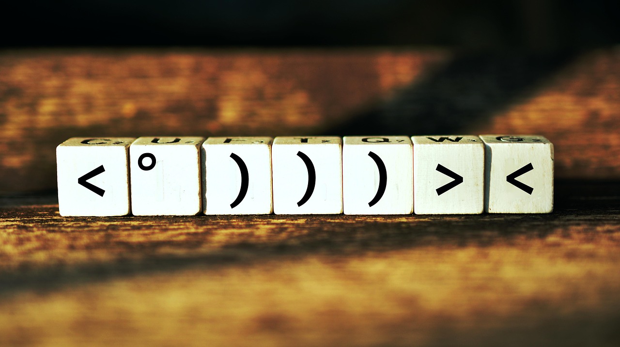 石家庄限号最新动态,深度理解与影响分析