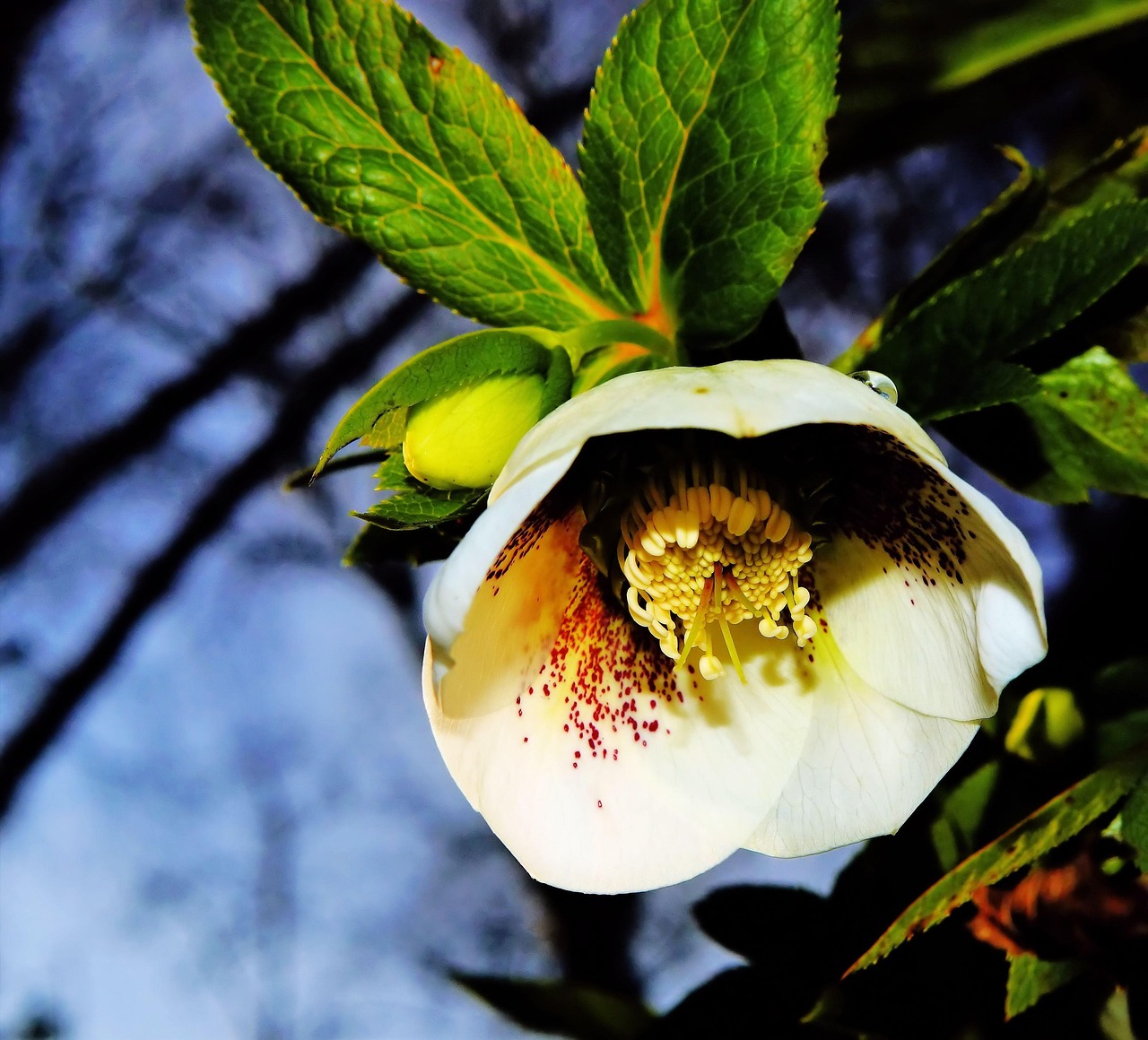 春暖花开新入口,探索生命的美好与希望之旅