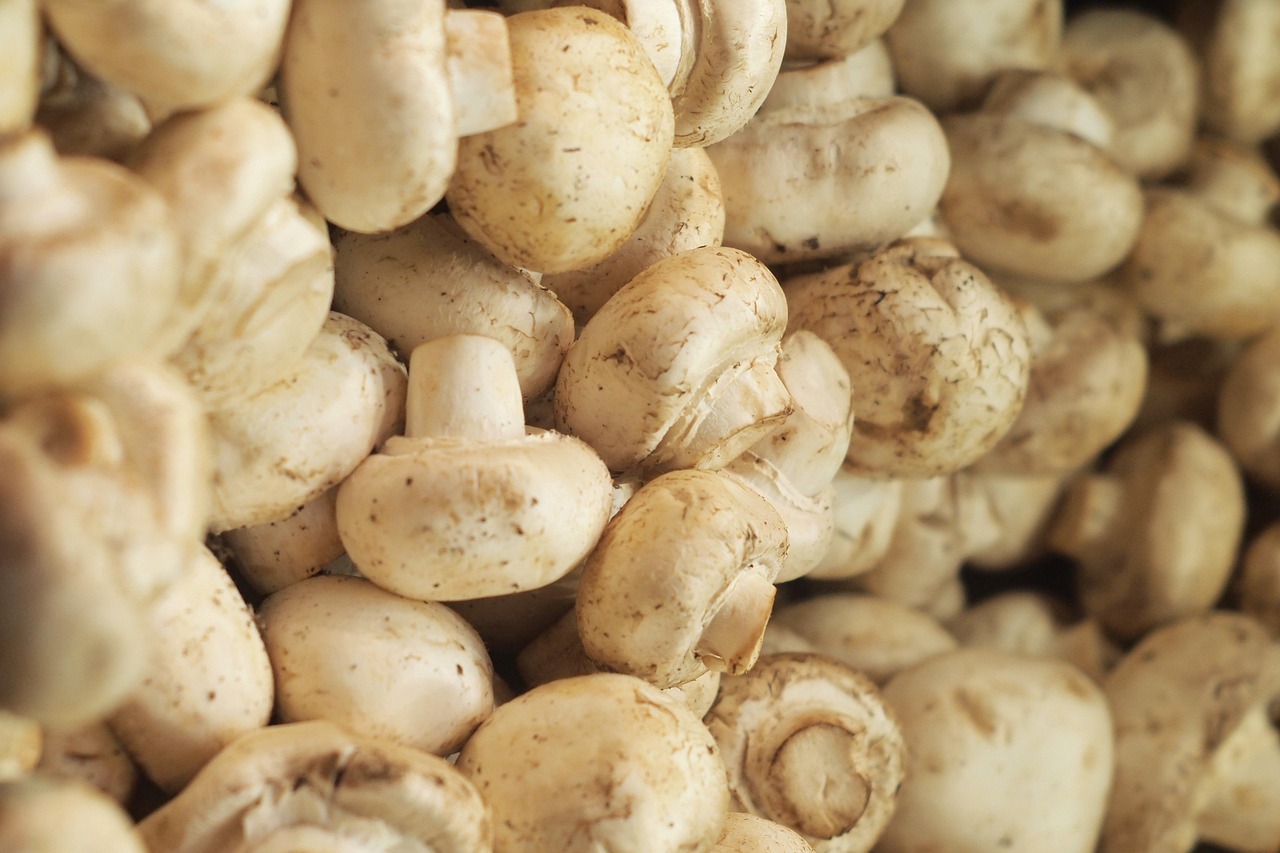 杭州城市繁荣与创新发展的最新动态,前沿城市动态概览