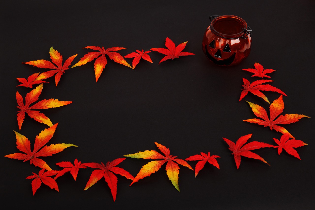 南瓜动漫,虚拟与现实中的色彩交融盛宴