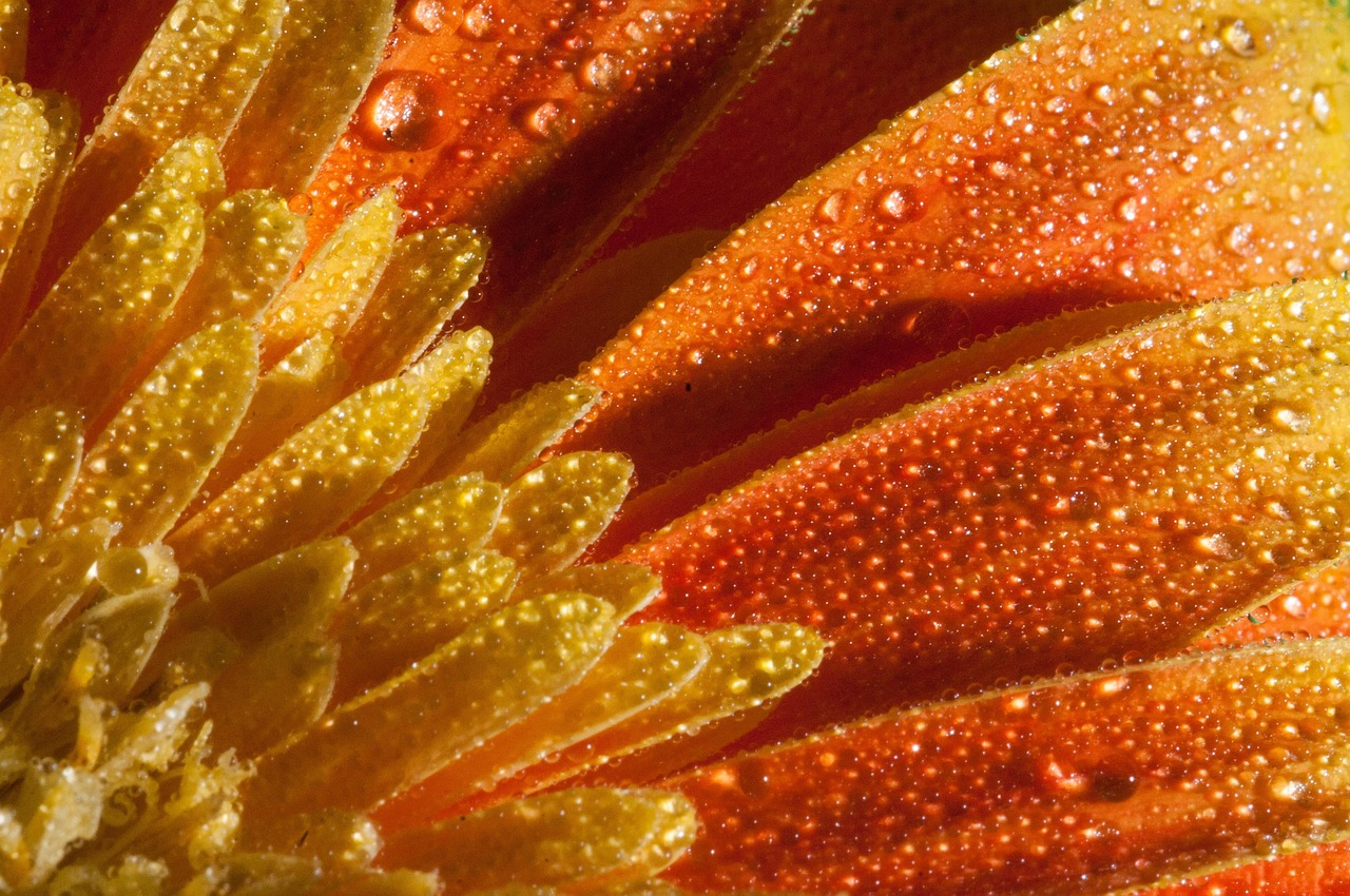 汶马高速建设进展及未来展望,最新动态揭秘