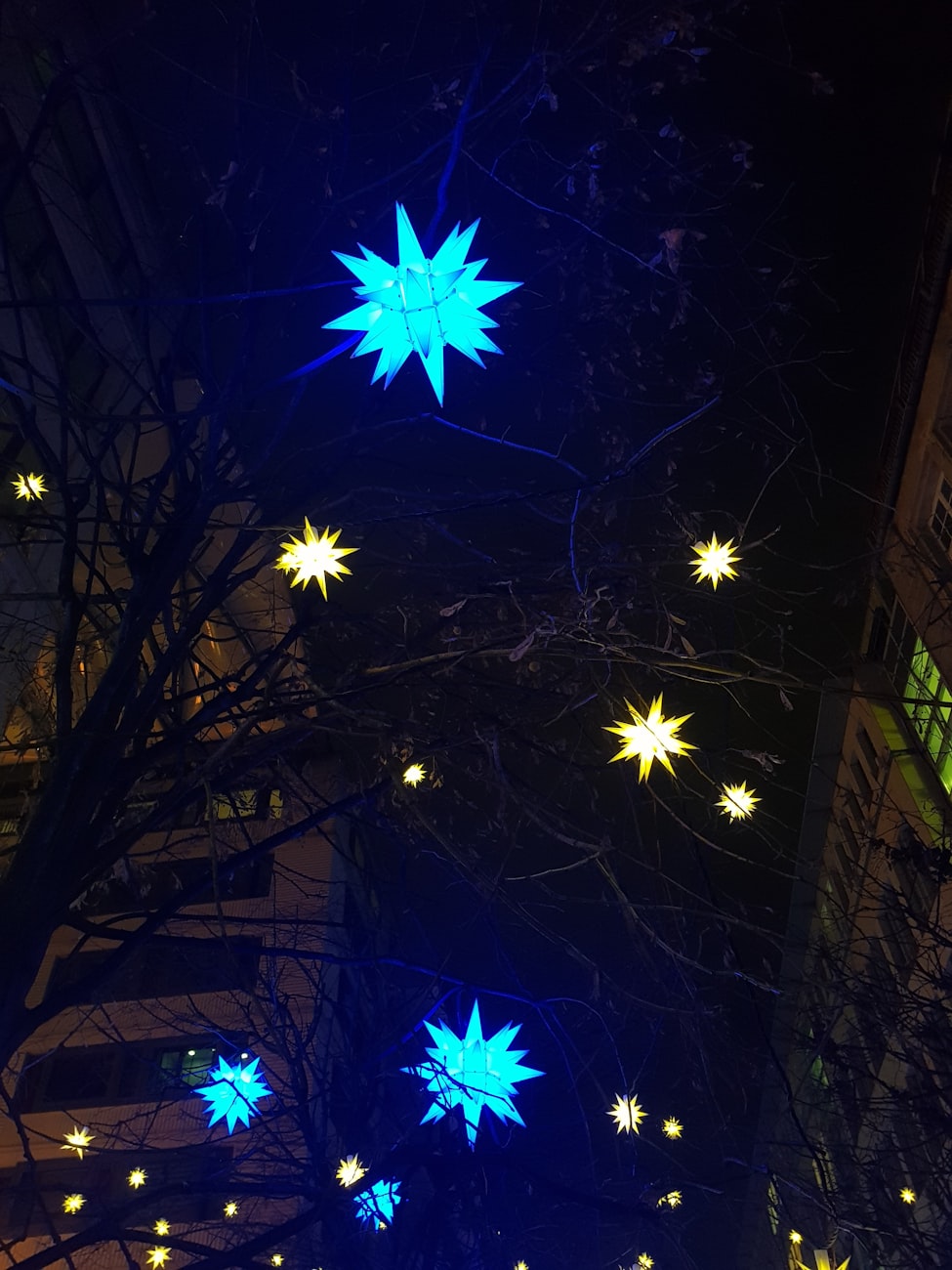 嘉兴紫元尚宸最新动态,城市发展的璀璨明珠新进展揭秘