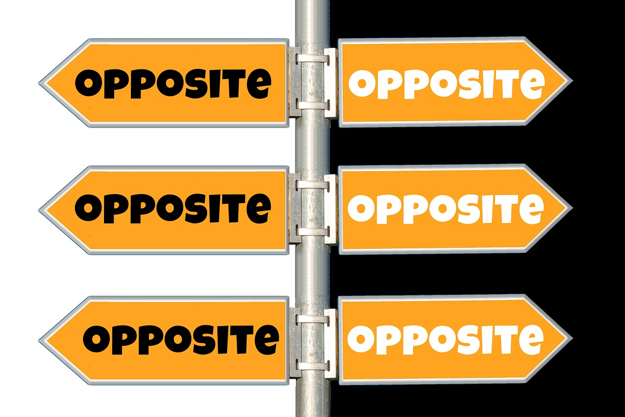 台风苏力最新动态,影响范围、应对措施及实时分析