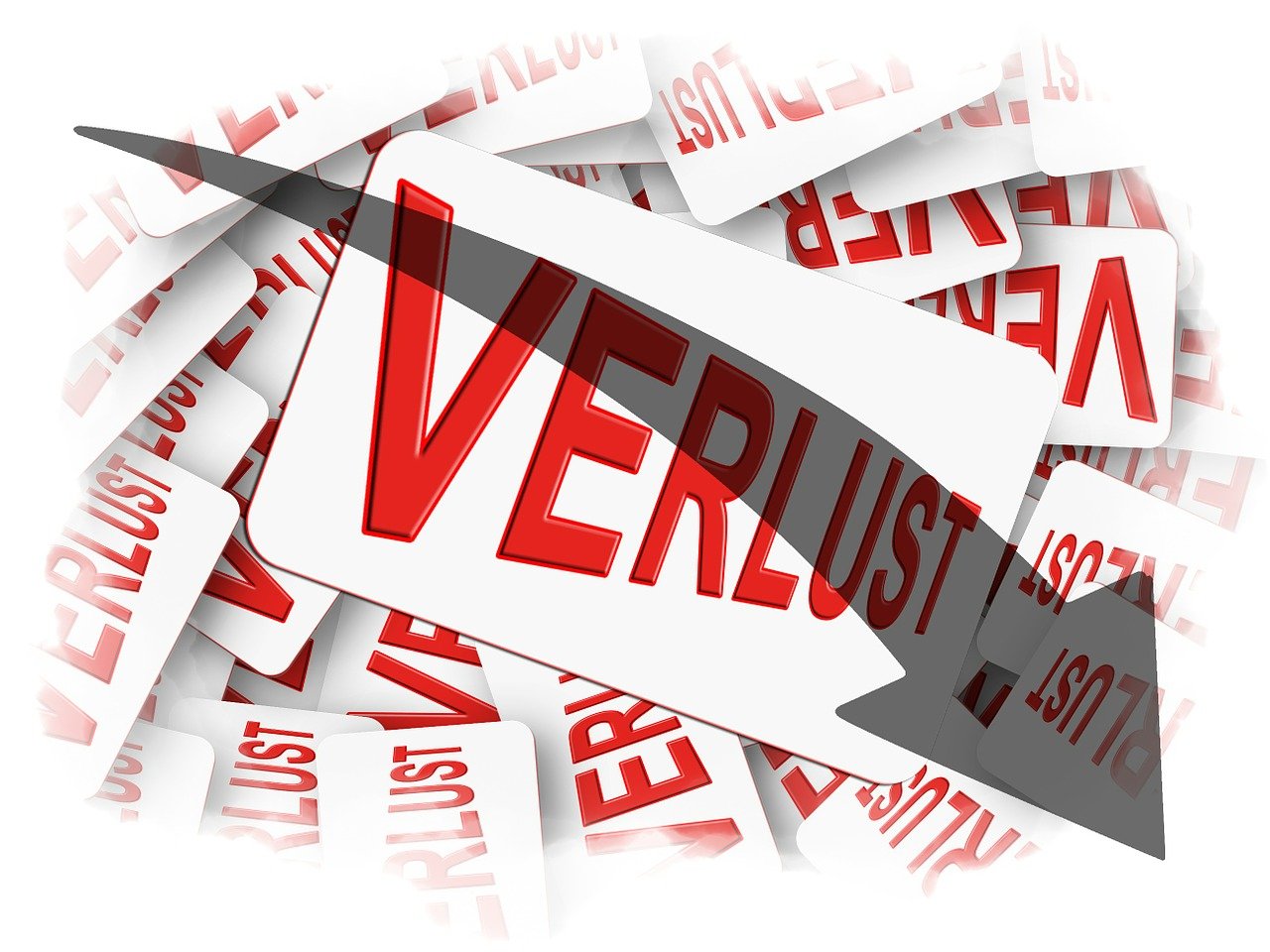 百部价格行情详解,市场行情分析与趋势预测