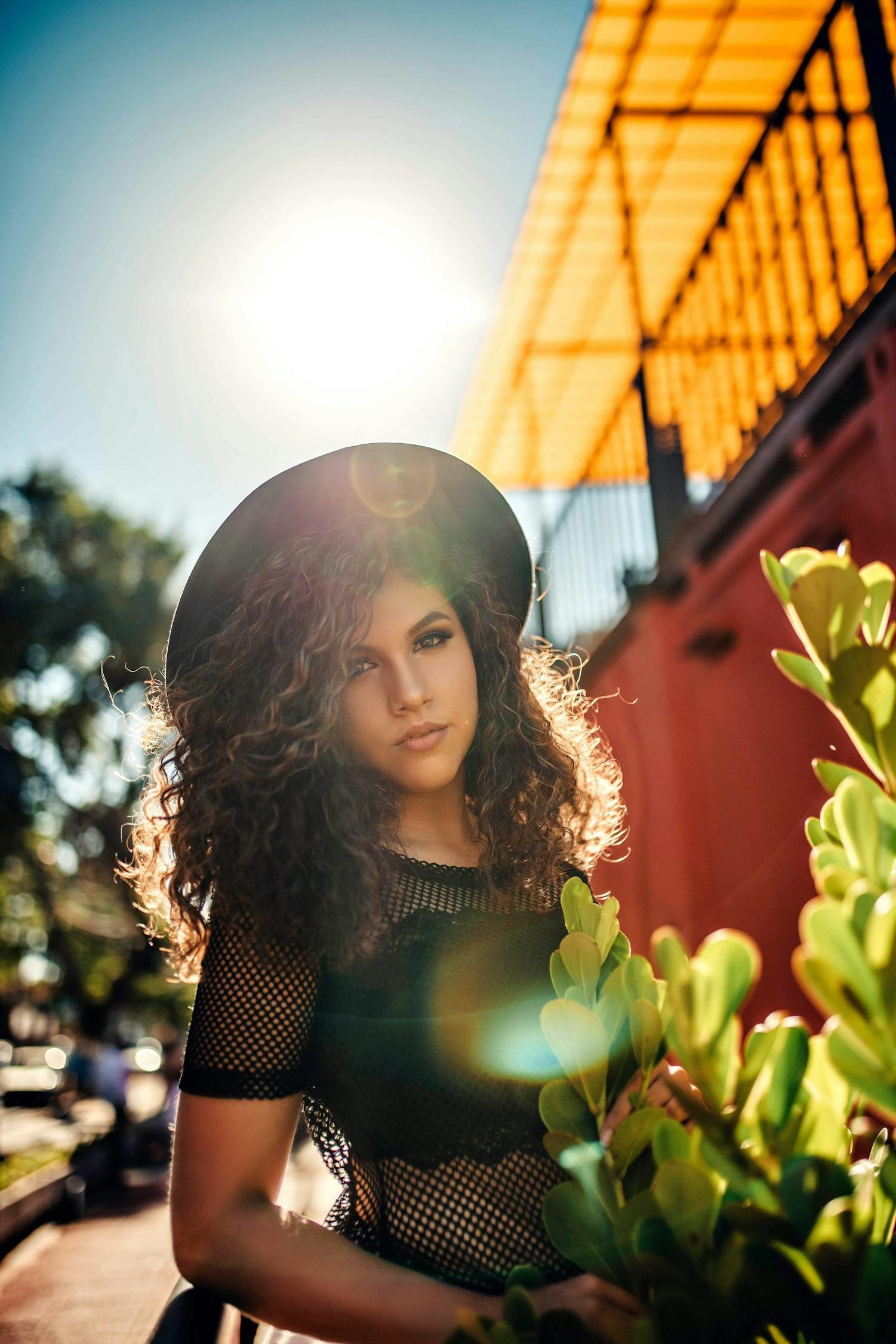 抱不住太阳 第3页