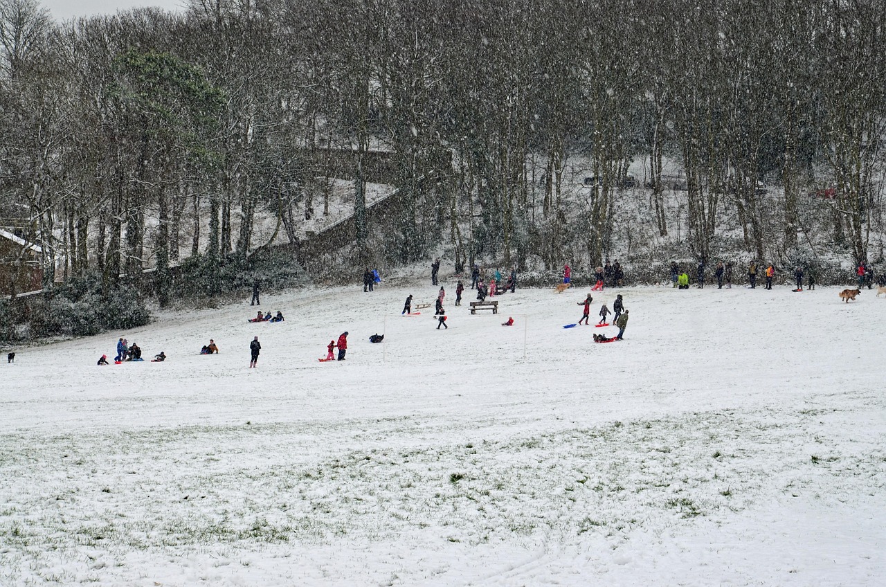 祁东最新职位招聘动态与趋势分析报告