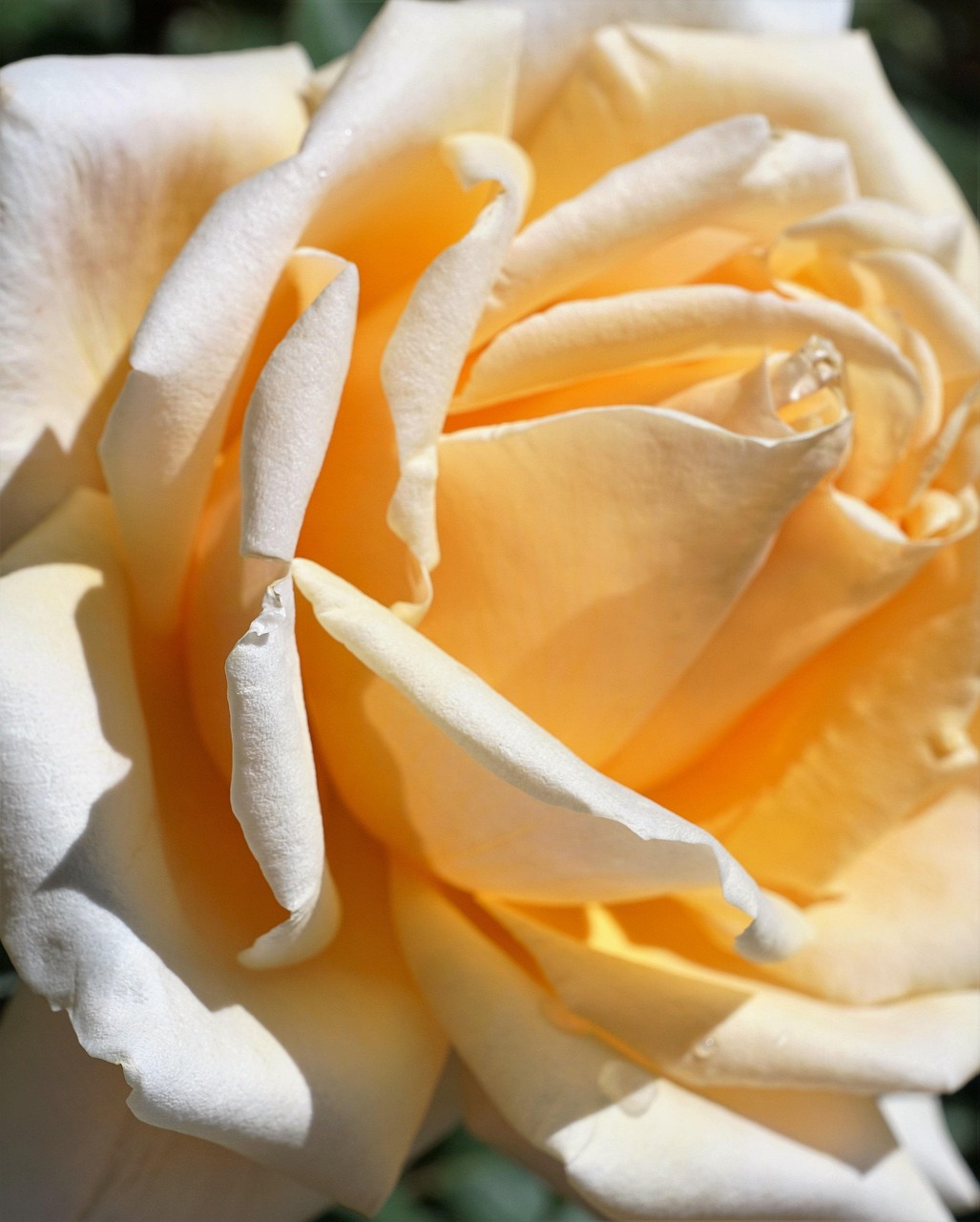 中央涂最新动态,引领新时代变革与发展风潮