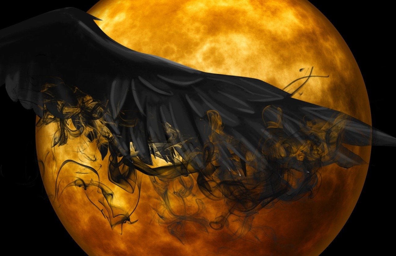 放我一个人生活 第3页