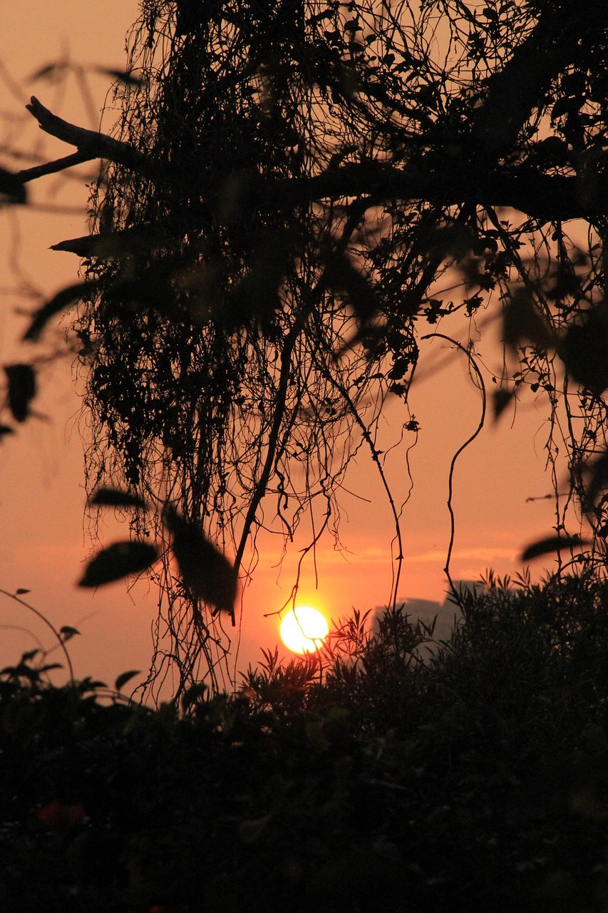 韩国午夜新动态,探索夜晚活力与变迁的奥秘