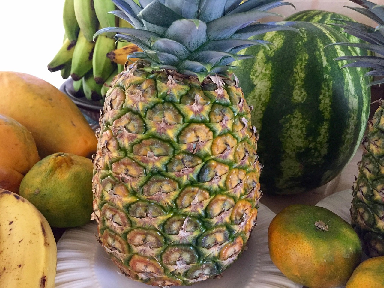 热带风情来袭,椰子上市季节揭晓