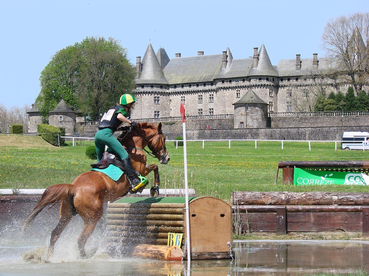 利比亚赛义夫最新消息全面解析与更新