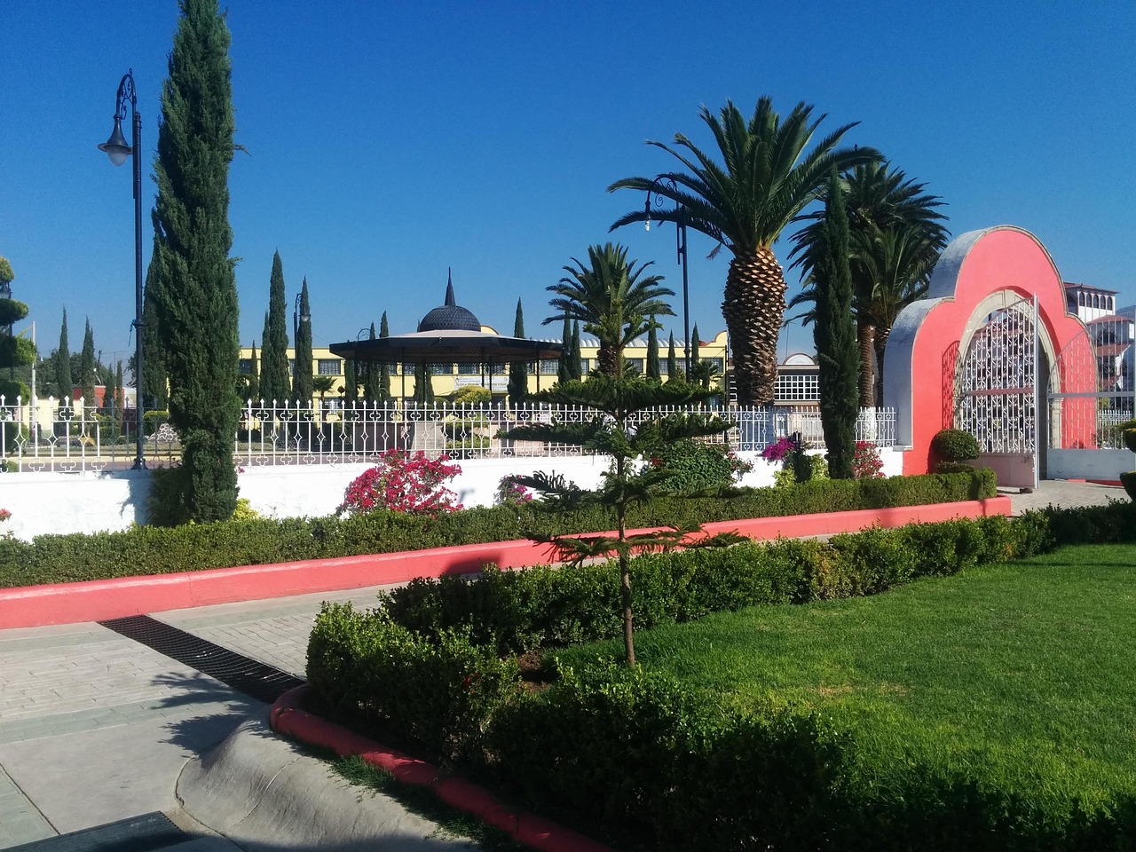 探索新时代绿色奇迹,最新园的繁荣与发展纪实