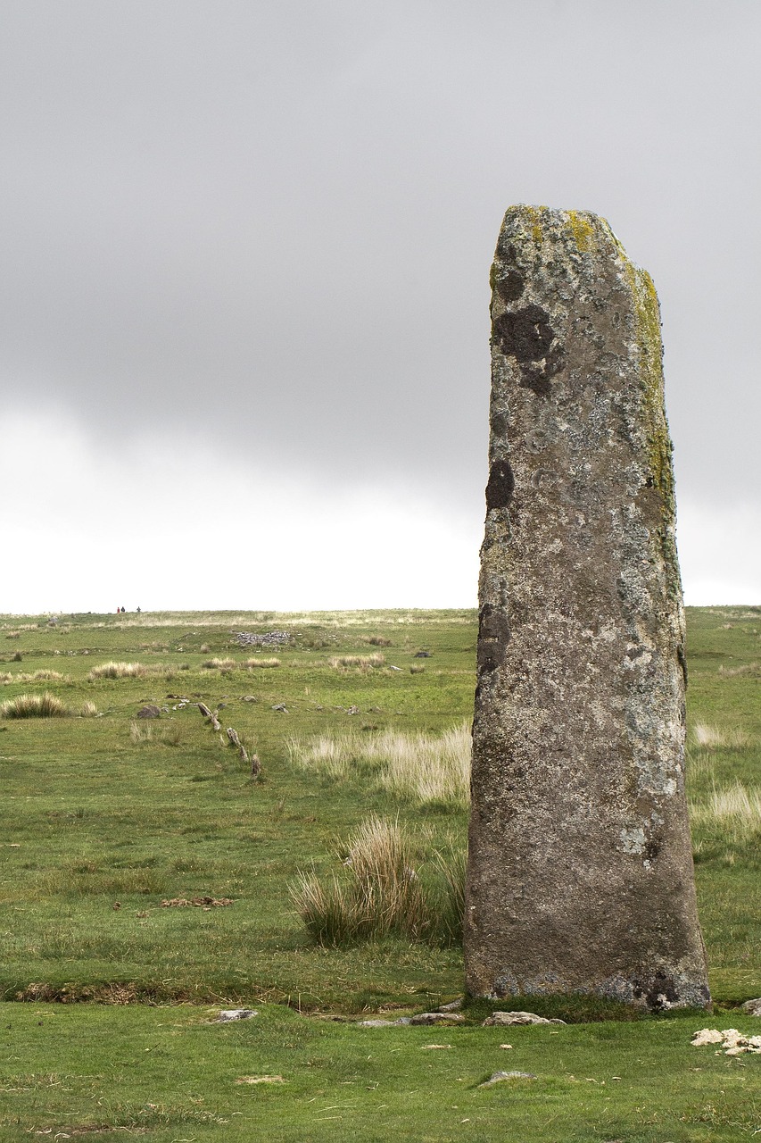 探索新时代绿色奇迹,最新园的繁荣与发展纪实