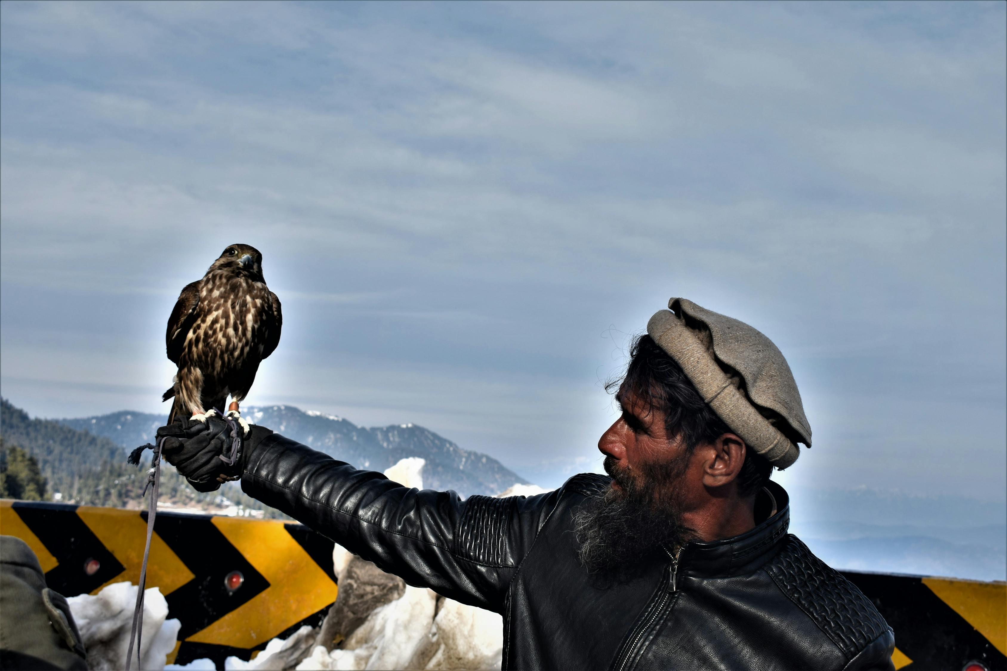 新锐刺客游戏,探索未知领域的极致探险体验