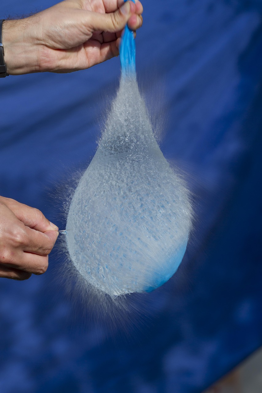 长白山人参最新价格动态,市场影响与市场趋势分析