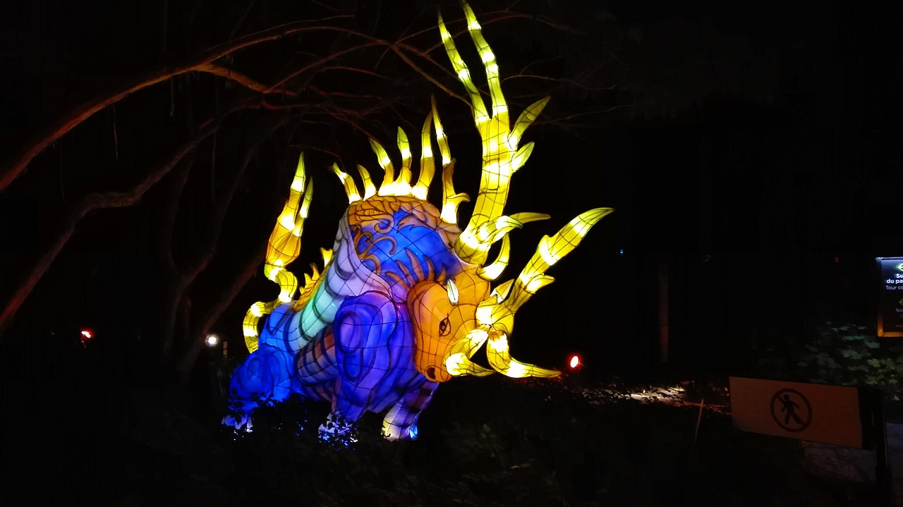 武林风比赛视频,热血激战展现中华武魂风采