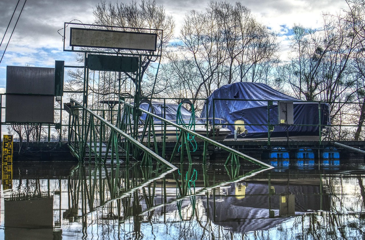 明道王鸥最新动态揭秘,两人最新消息一网打尽!