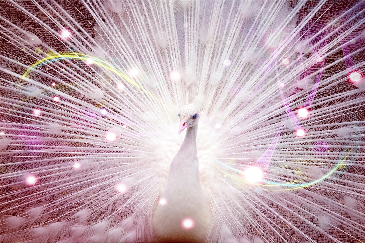 探索动漫世界的魅力,动漫眼睛之美欣赏