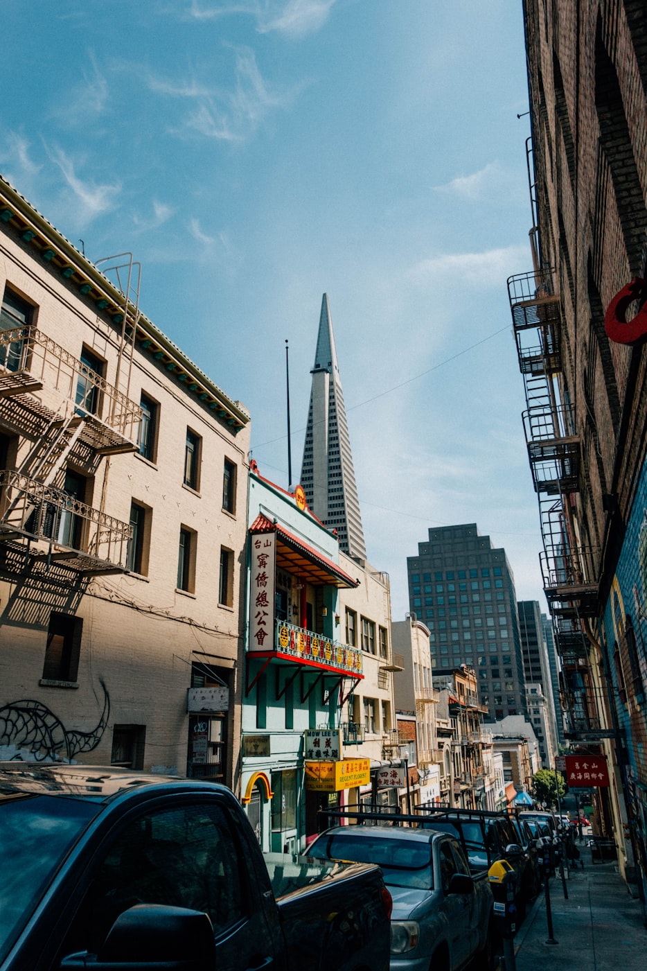 福鼎最新资讯,探索城市新动态,领略多元魅力