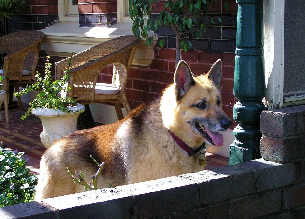 唐山丰润区最新招聘信息更新与就业市场分析,招聘动态及趋势观察