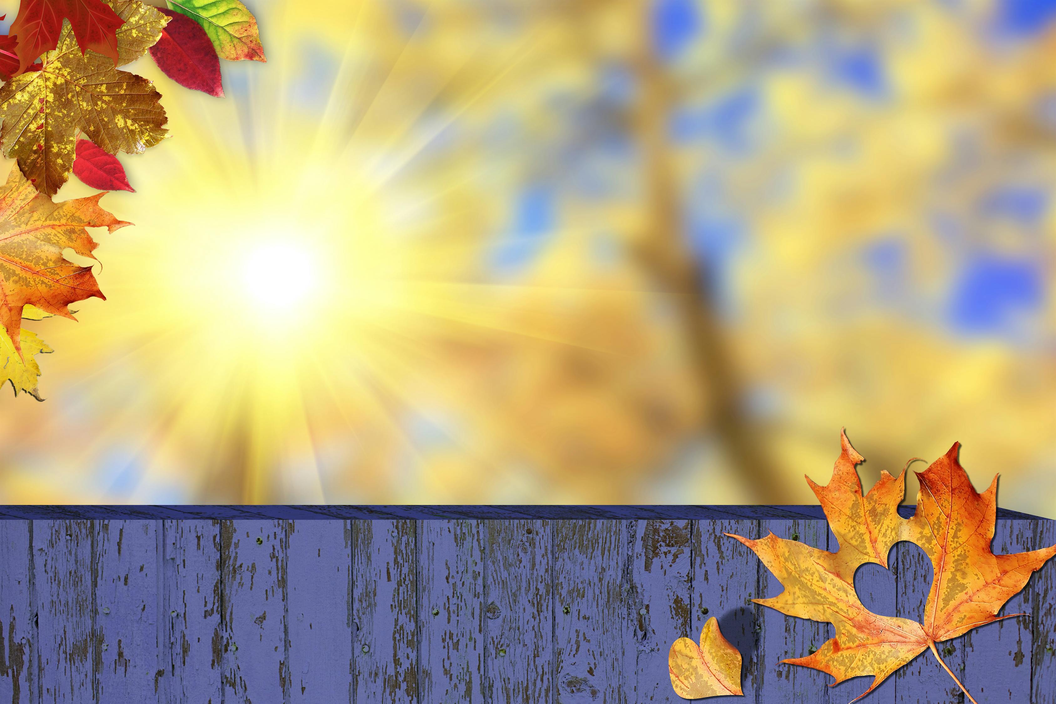 最新动态壁纸,为桌面注入生命力与个性化魅力