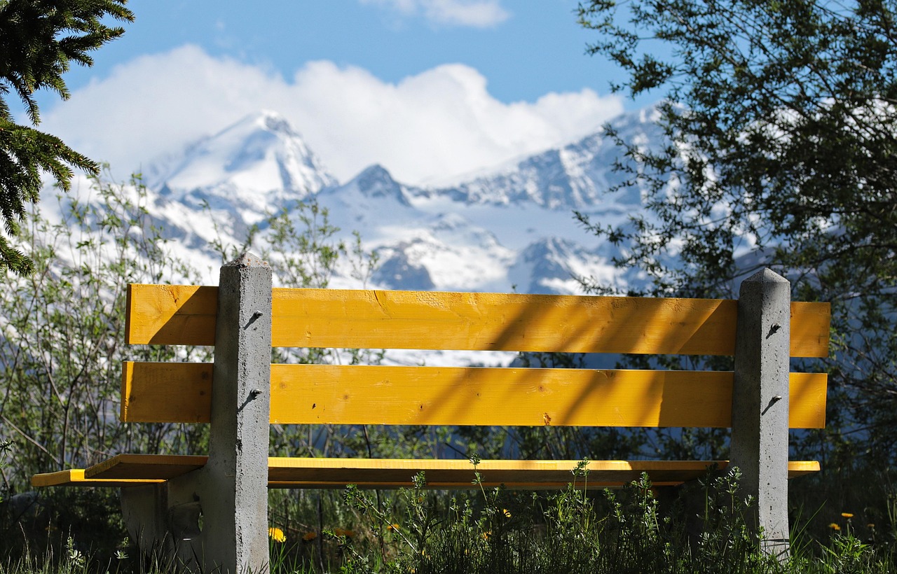 临洮大学建设最新进展与未来展望,更新动态揭秘