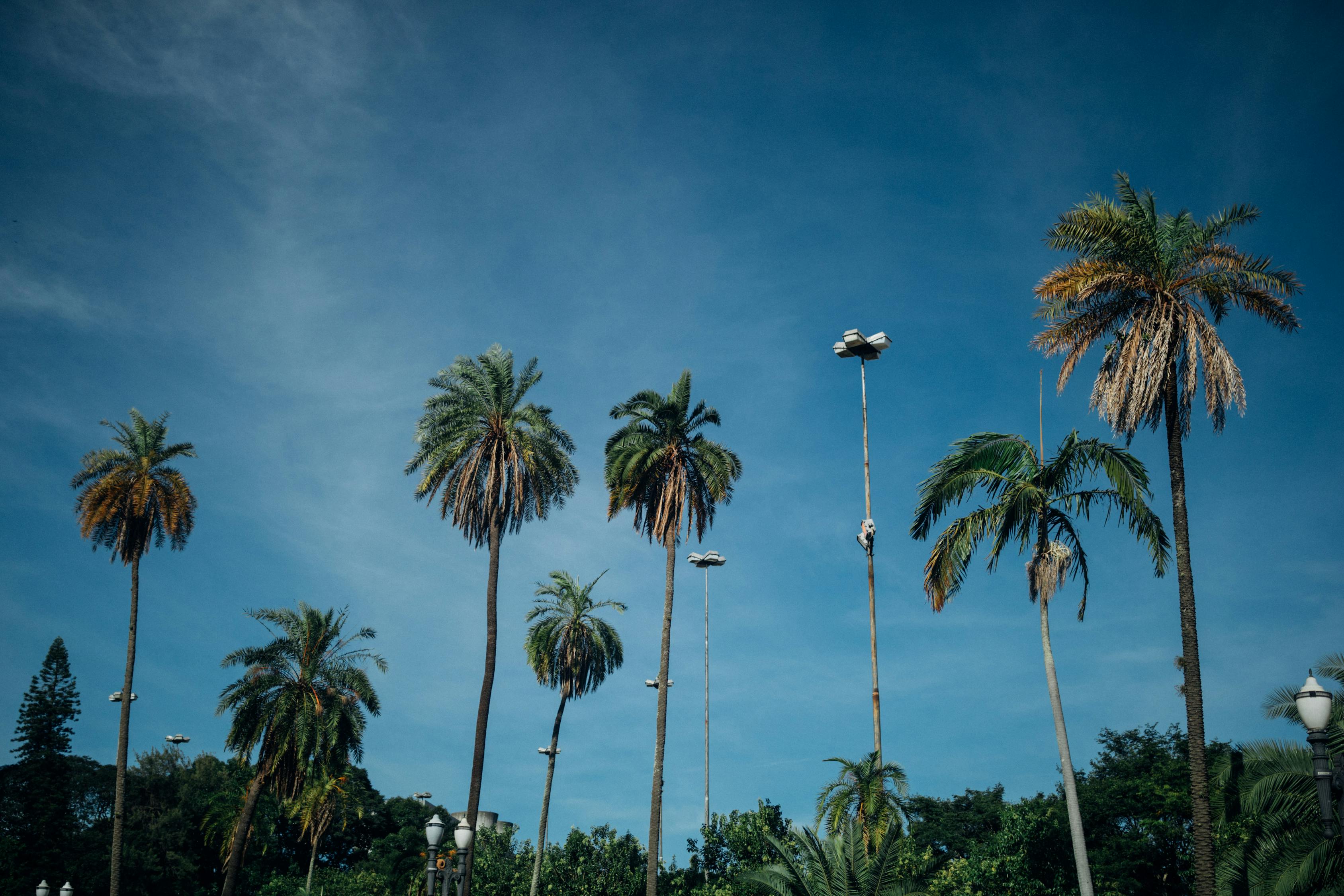 最新物业收费标准全面解析,收费标准详解及更新动态关注指南