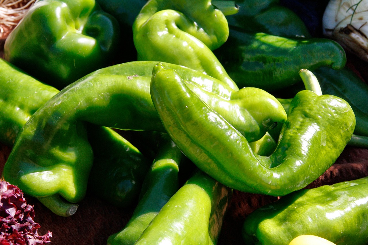 今日辣椒市场价格行情更新