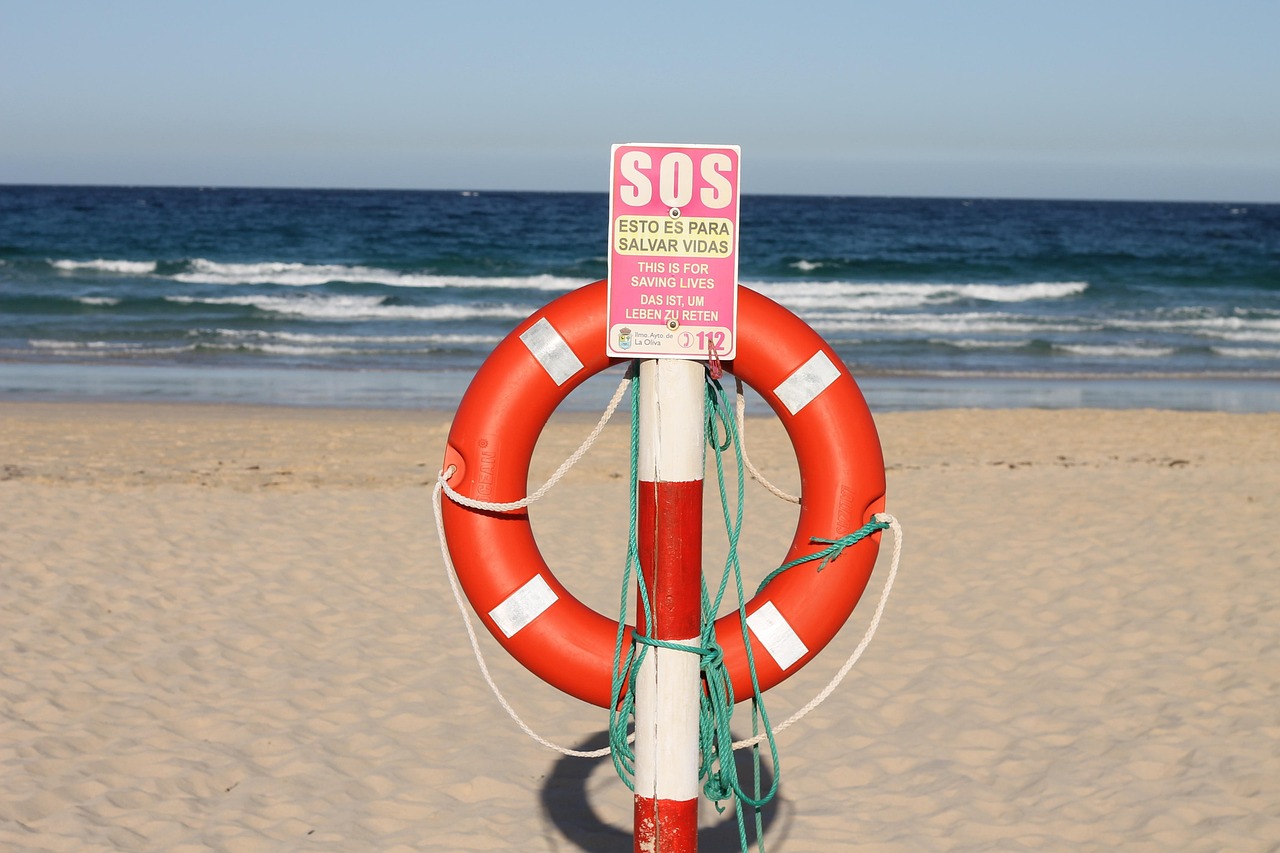 石头理财最新动态,探索财富管理新策略与新动态资讯