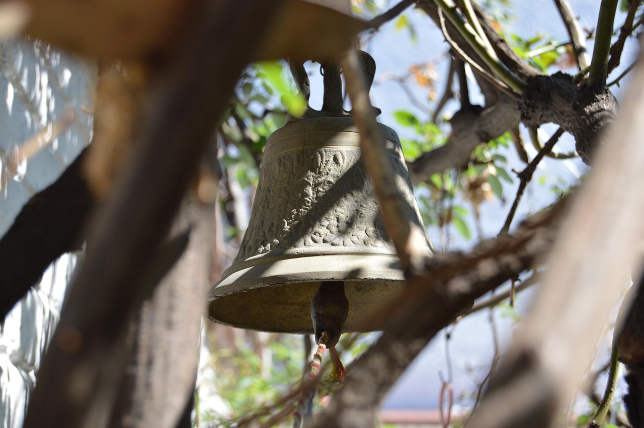 临汾玉米市场价格及其动态分析