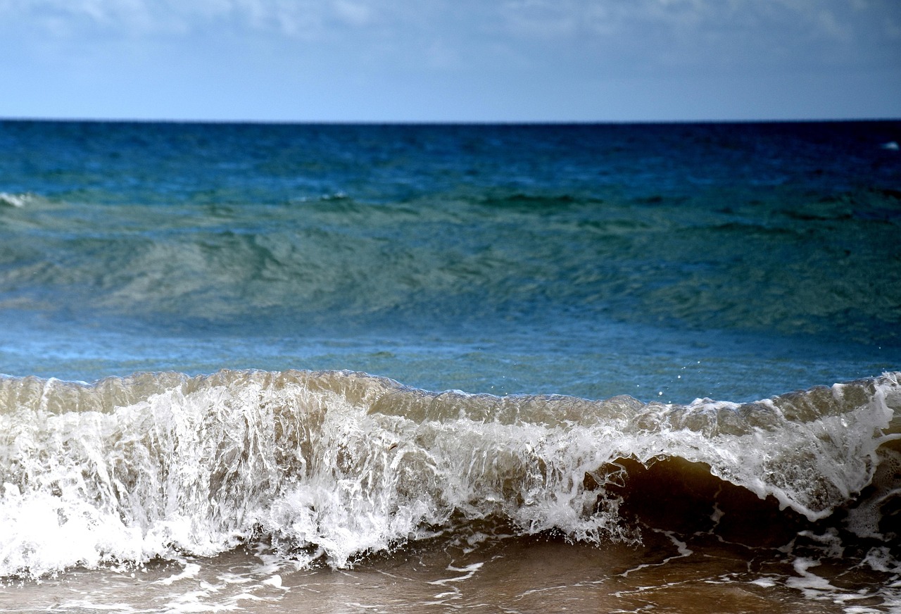 最新捕鱼灯,照亮水域,助力渔业繁荣