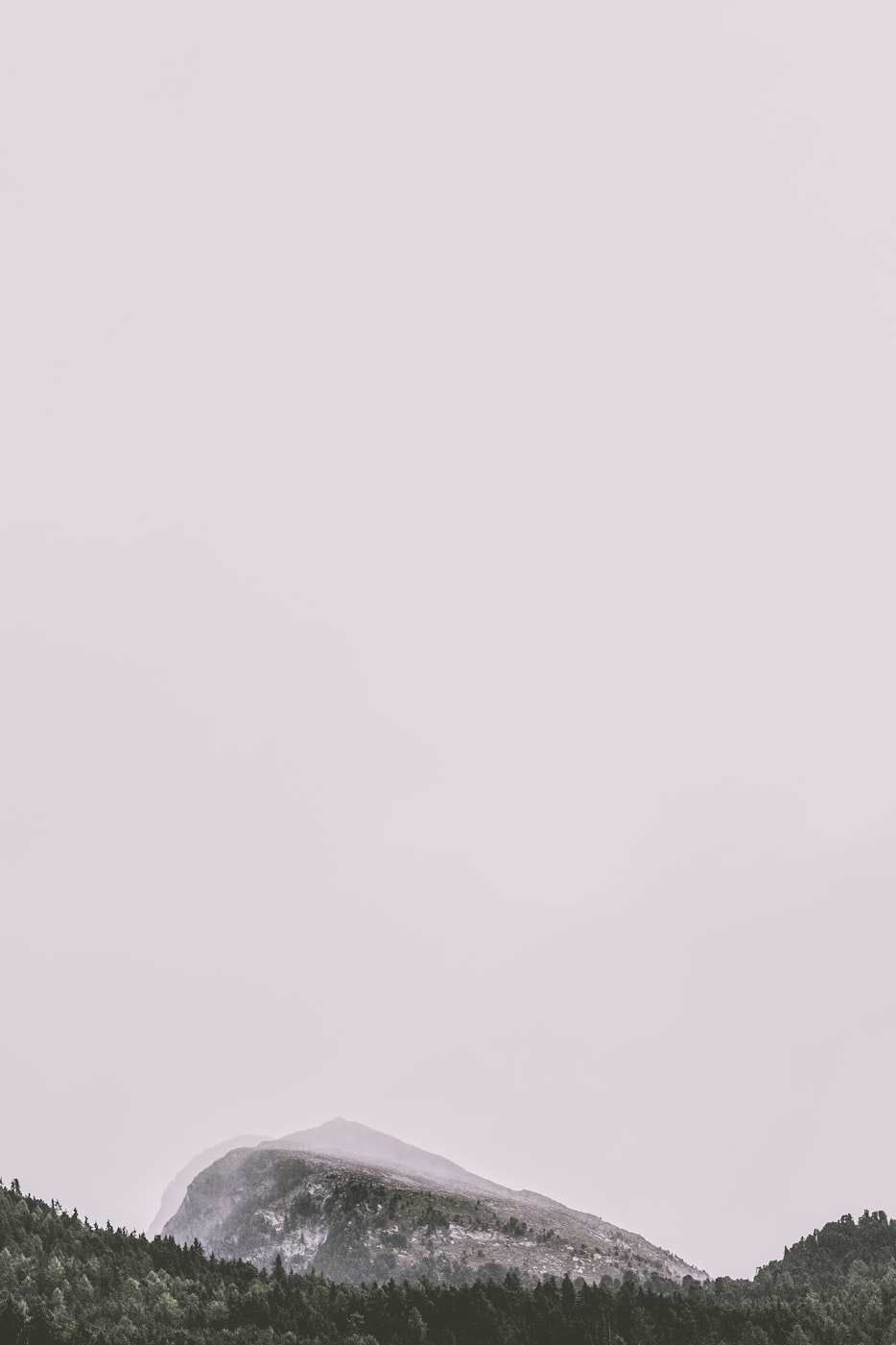 童子最新动态揭秘,探索未知,展现无限潜力