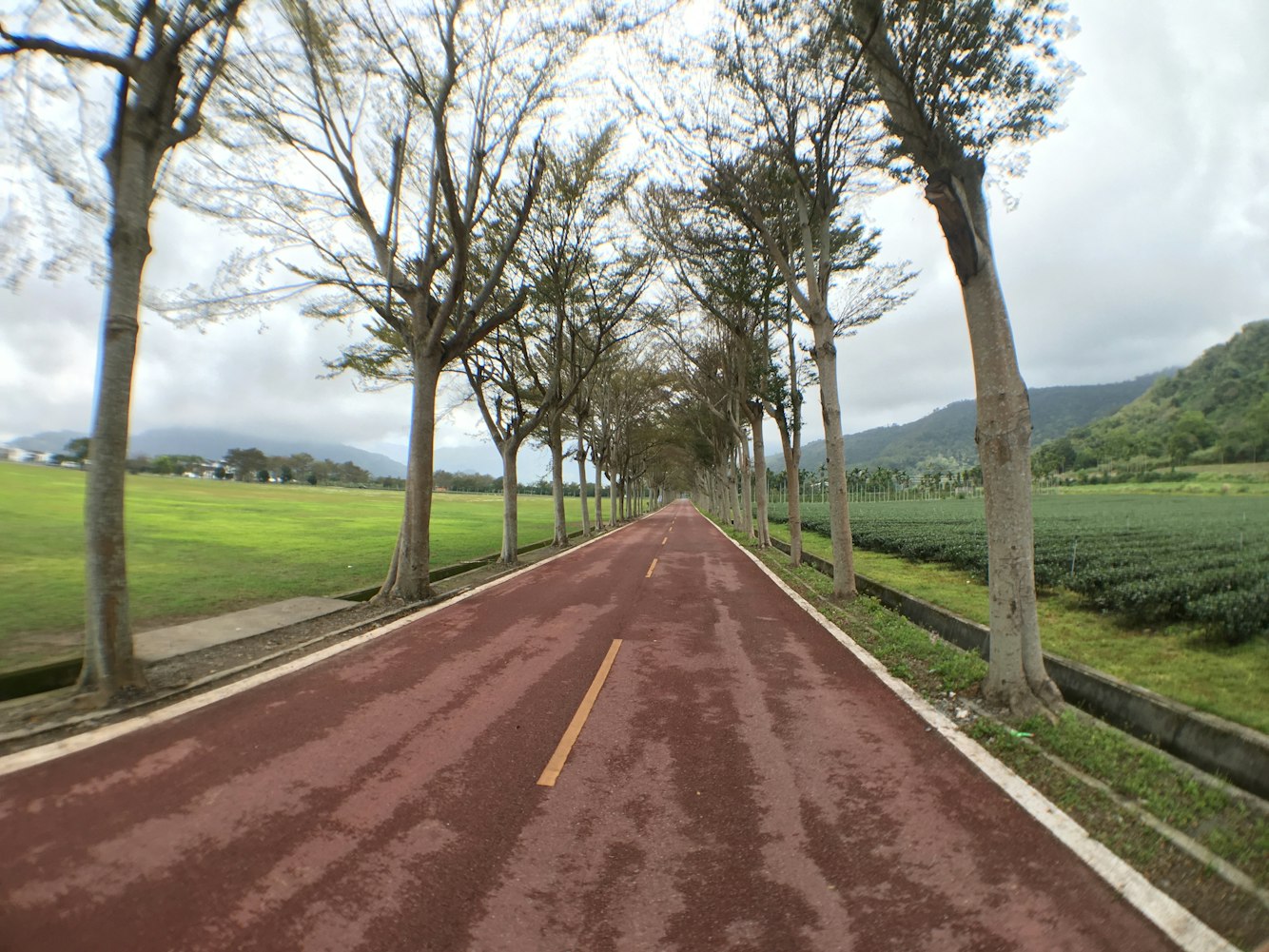 眉山工业大道迈向高质量发展新征程的最新动态