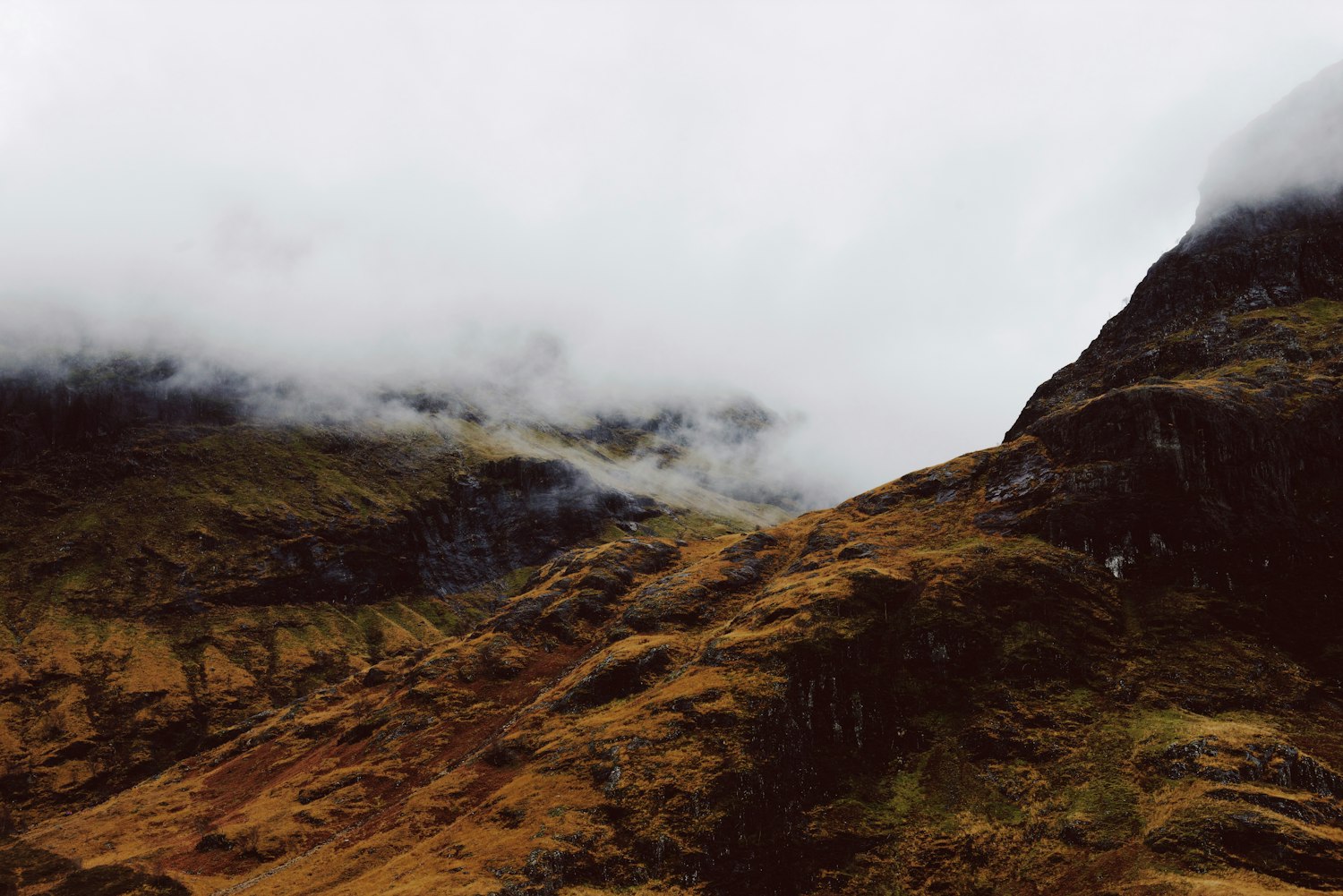 南都古城最新动态速递