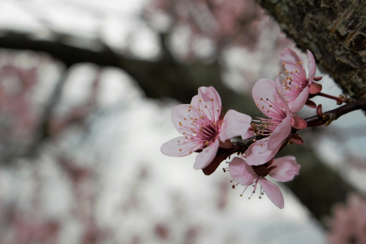 林洛U女子监狱动态,探索与启示的篇章