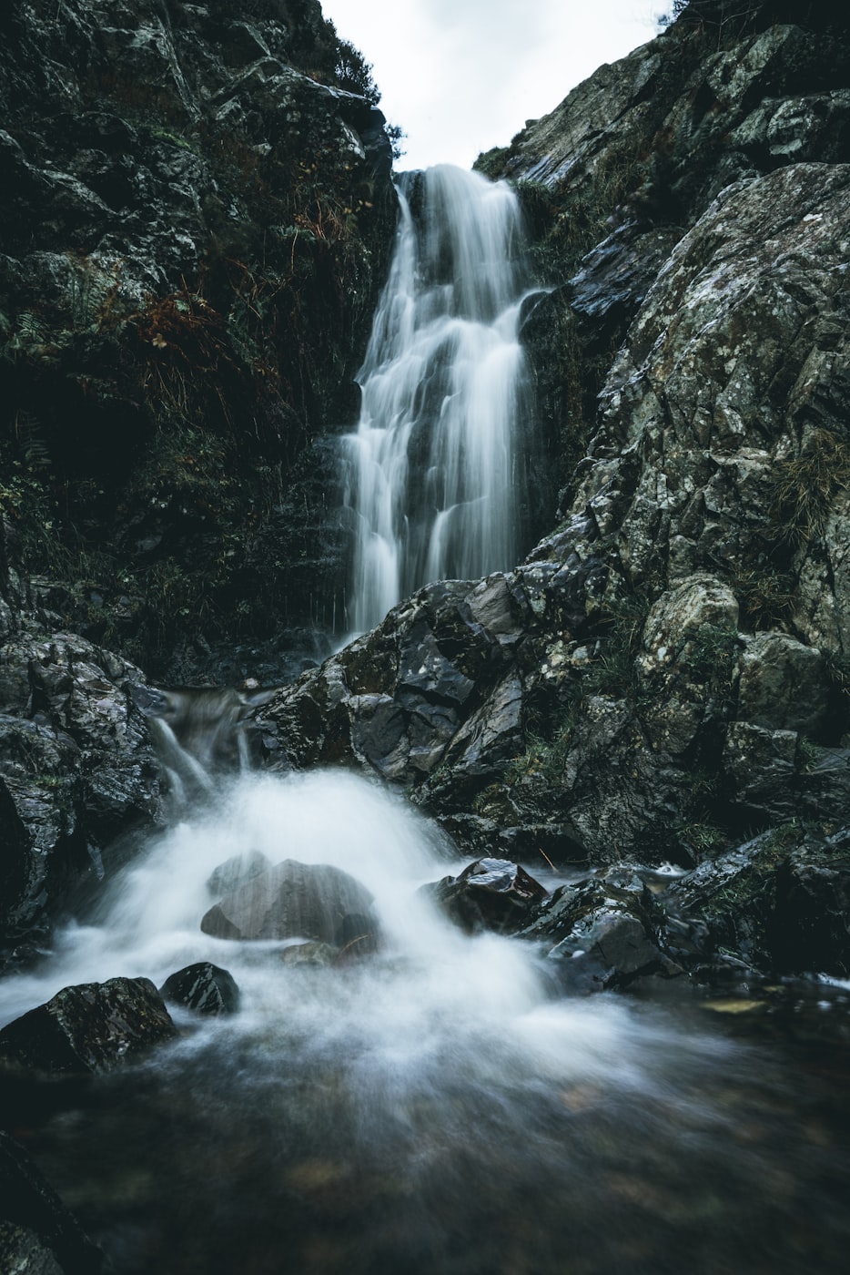 柳州杨柳郡新篇章,动态更新的城市风采