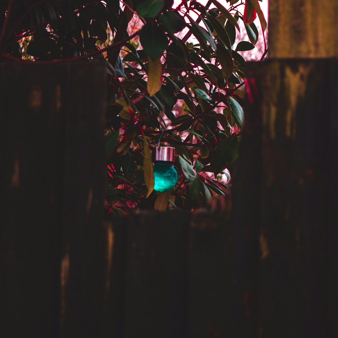 星爷最新音乐作品探索与期待之旅