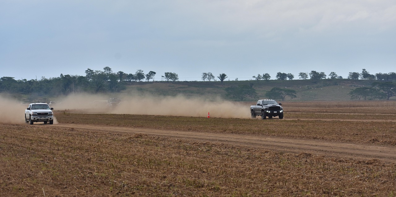 皮卡最新报价及市场动态分析概览