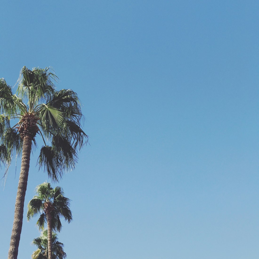 余杭疫情动态更新,全面应对,共筑防线防线