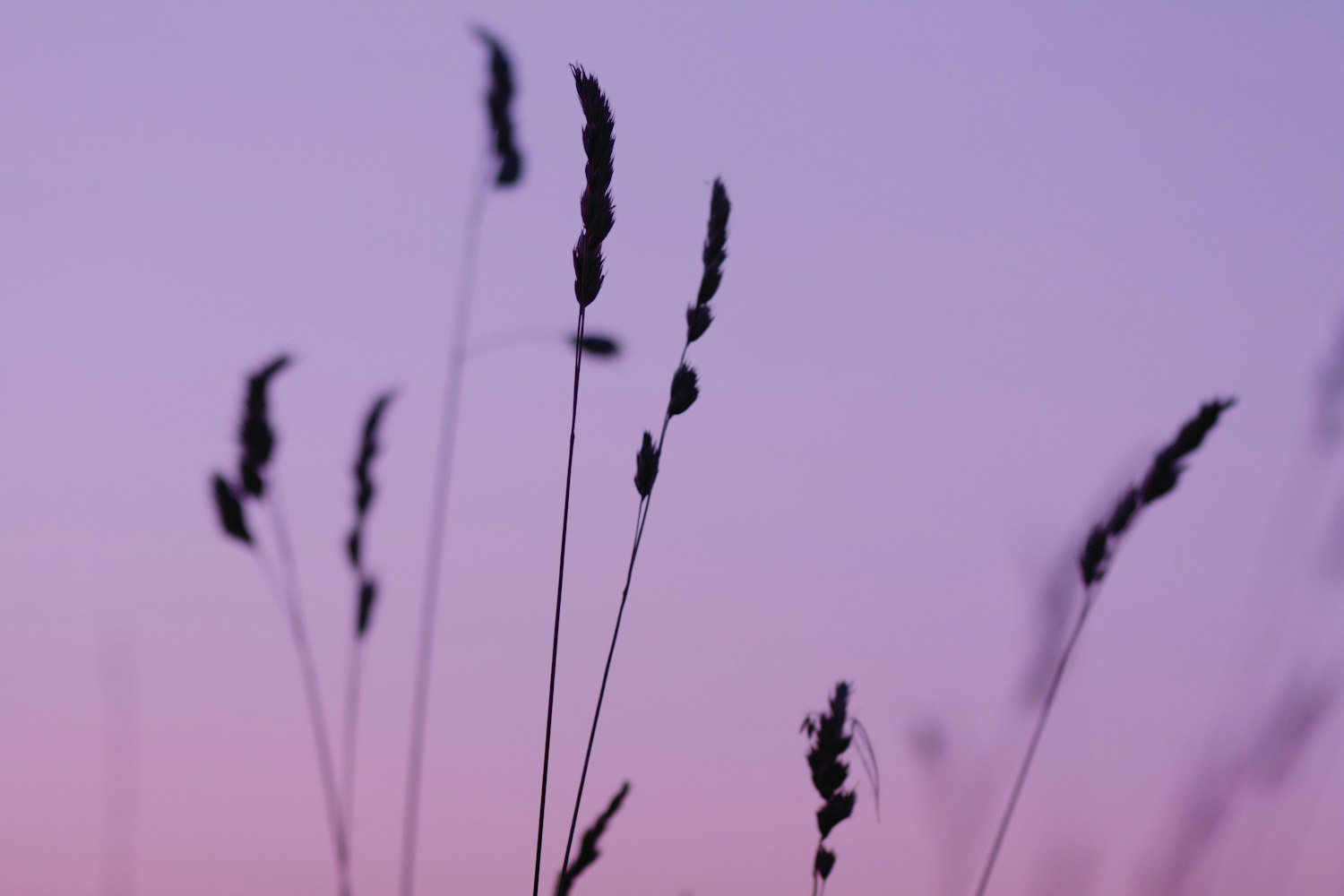 最新情侣网名发布平台,爱的浪漫之旅启程