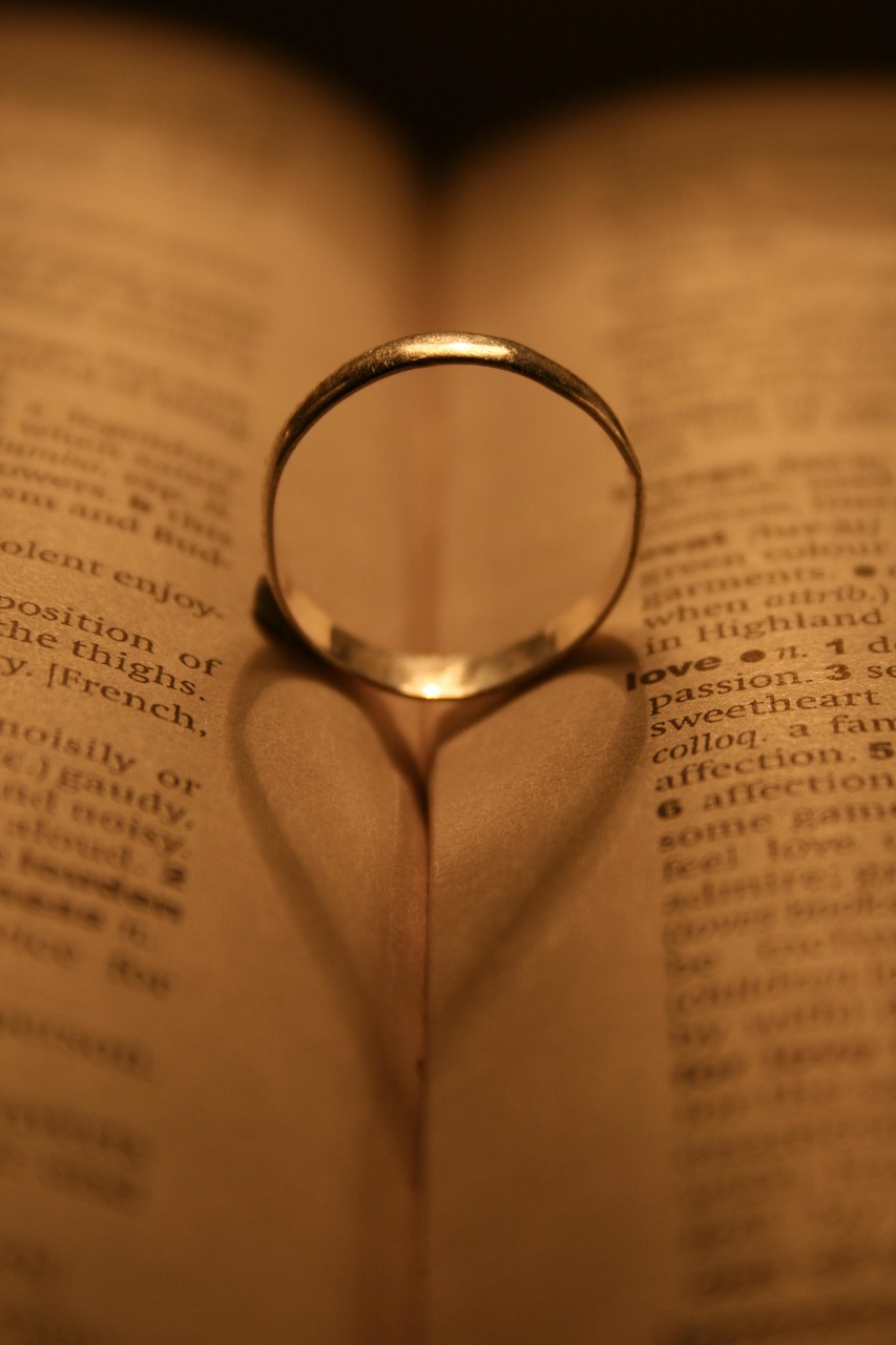 最新情侣网名发布平台,爱的浪漫之旅启程